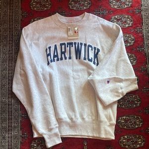NWT Champion Pullover Hartwick College
